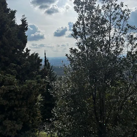 Casa Palmira Σπίτι διακοπών Avesa