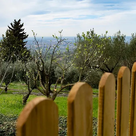 Σπίτι διακοπών Casa Palmira Avesa