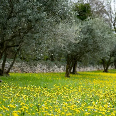 Casa Palmira Σπίτι διακοπών *